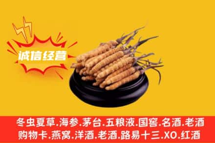 南充仪陇县回收冬虫夏草